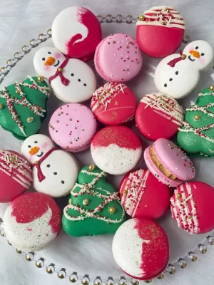 IMG_6479 Macarons módulo especial de edición Navidad